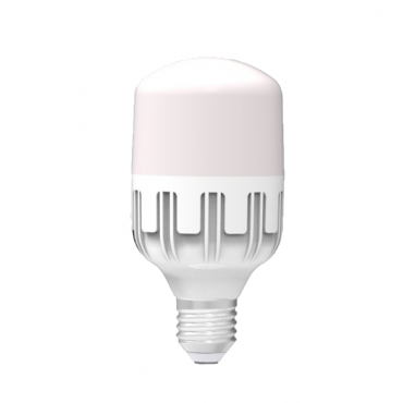 Đèn LED bulb công suất lớn Điện Quang ĐQ LEDBU10 10W 10765AW